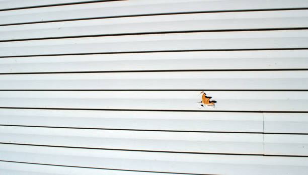 Best Stucco Siding  in Rochester, WI