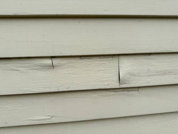 Rochester, WI Siding Installation & Repair Company